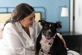 bride pets her dog while sitting on guest bed at Kimpton Hotel Fontenot